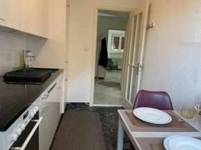 NEW Comfortable Basic 1 bedroom Apartment with sep Kitchen and Balcony